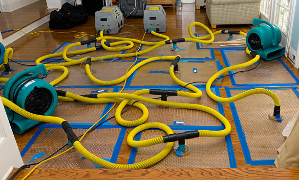 Professional Water Extraction technician working in Kamas, UT